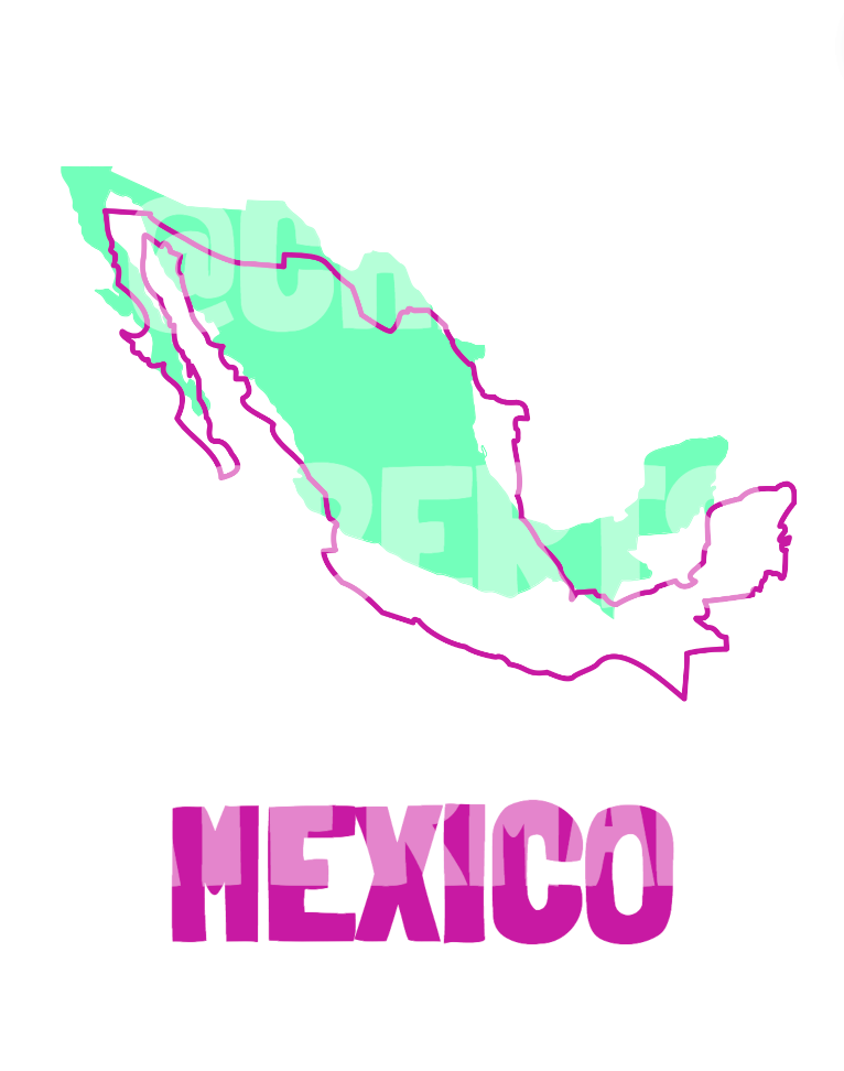 MEXICO TEMPLATE AND MAP